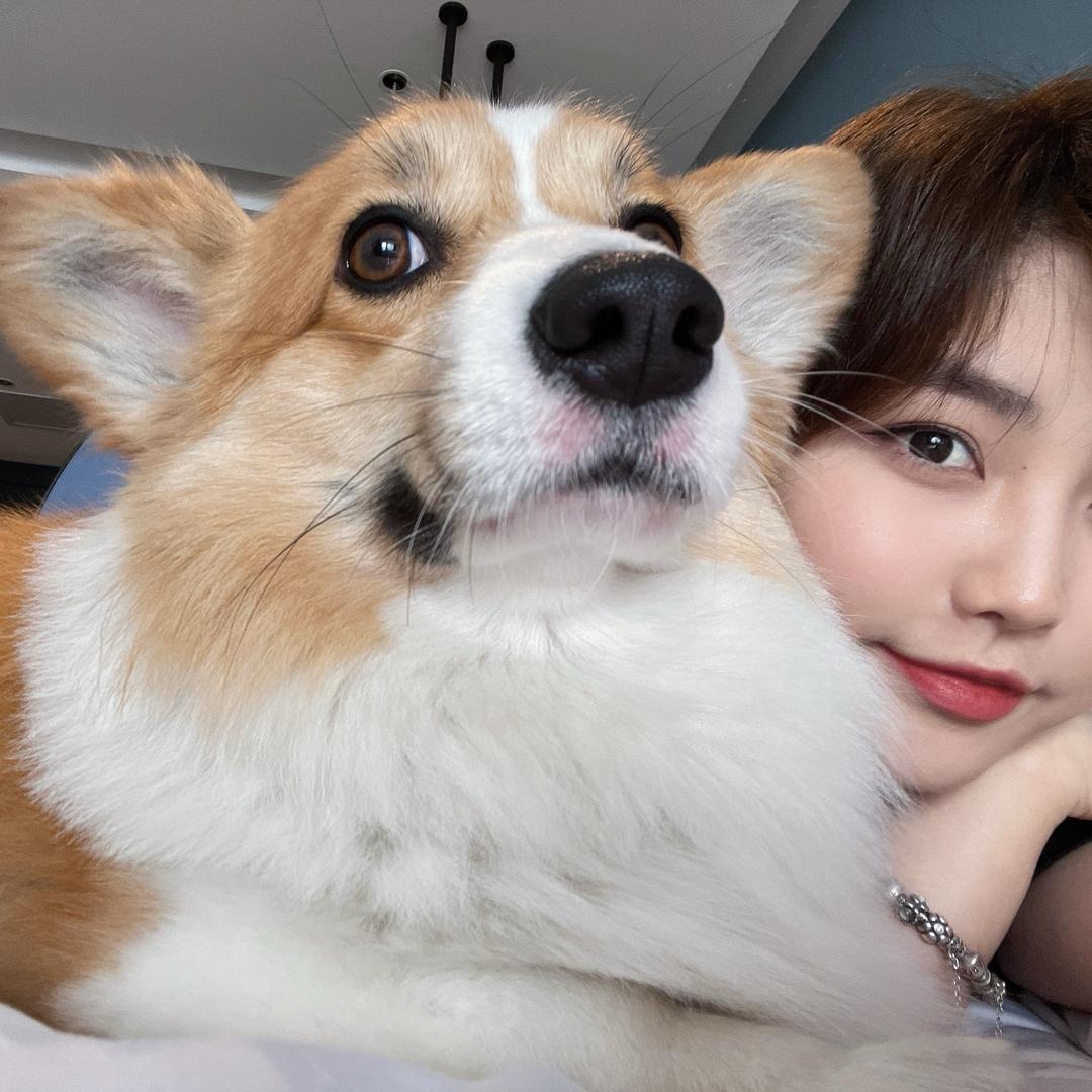 不吃胡萝卜