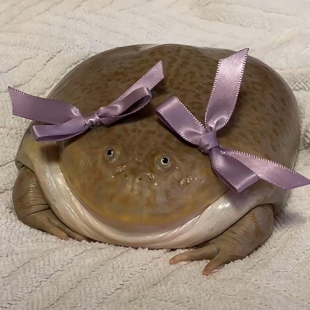 追猪者