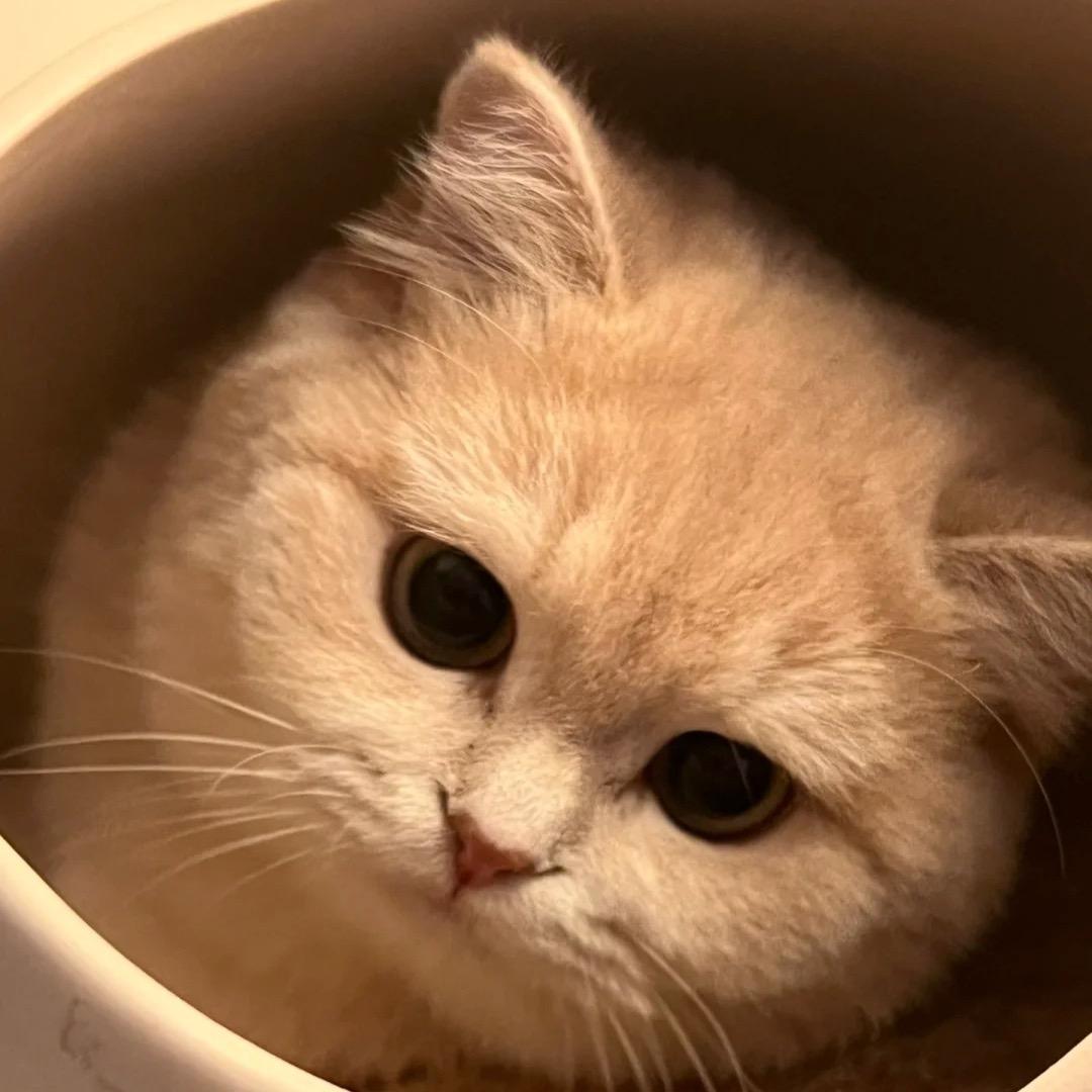 梦醒了❤️
