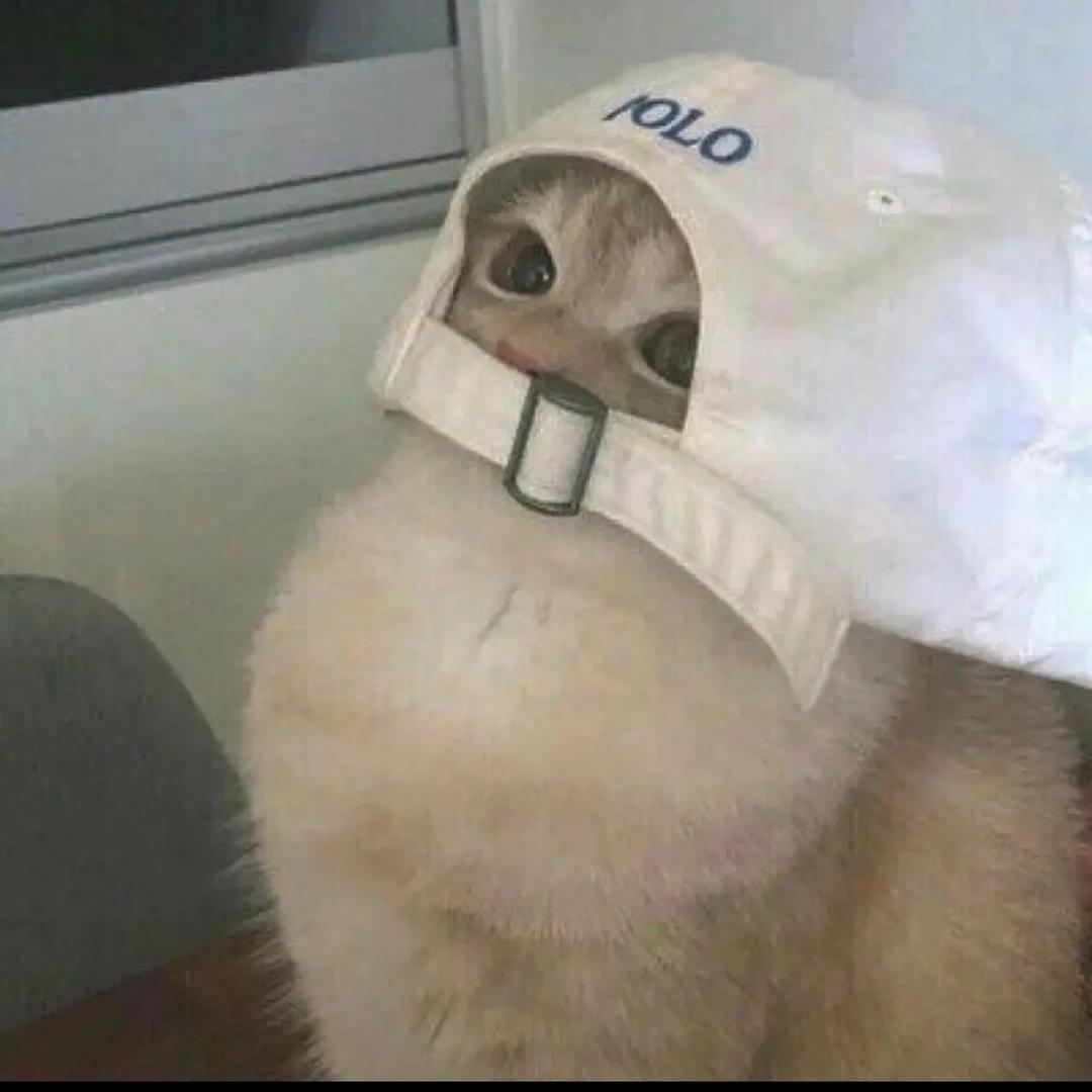 漫漫不摆烂