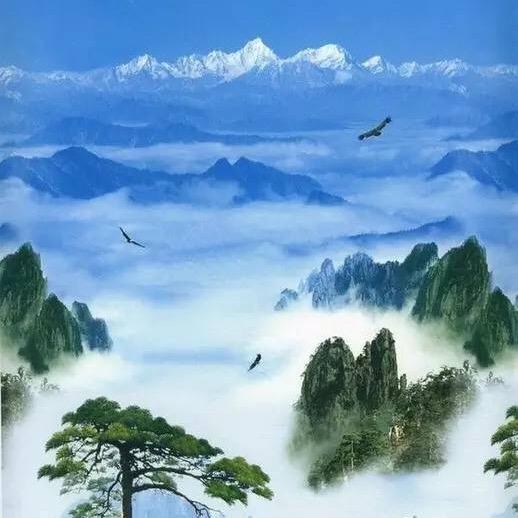 顺期自然（江苏）