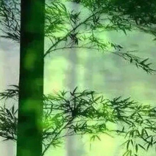 看热闹