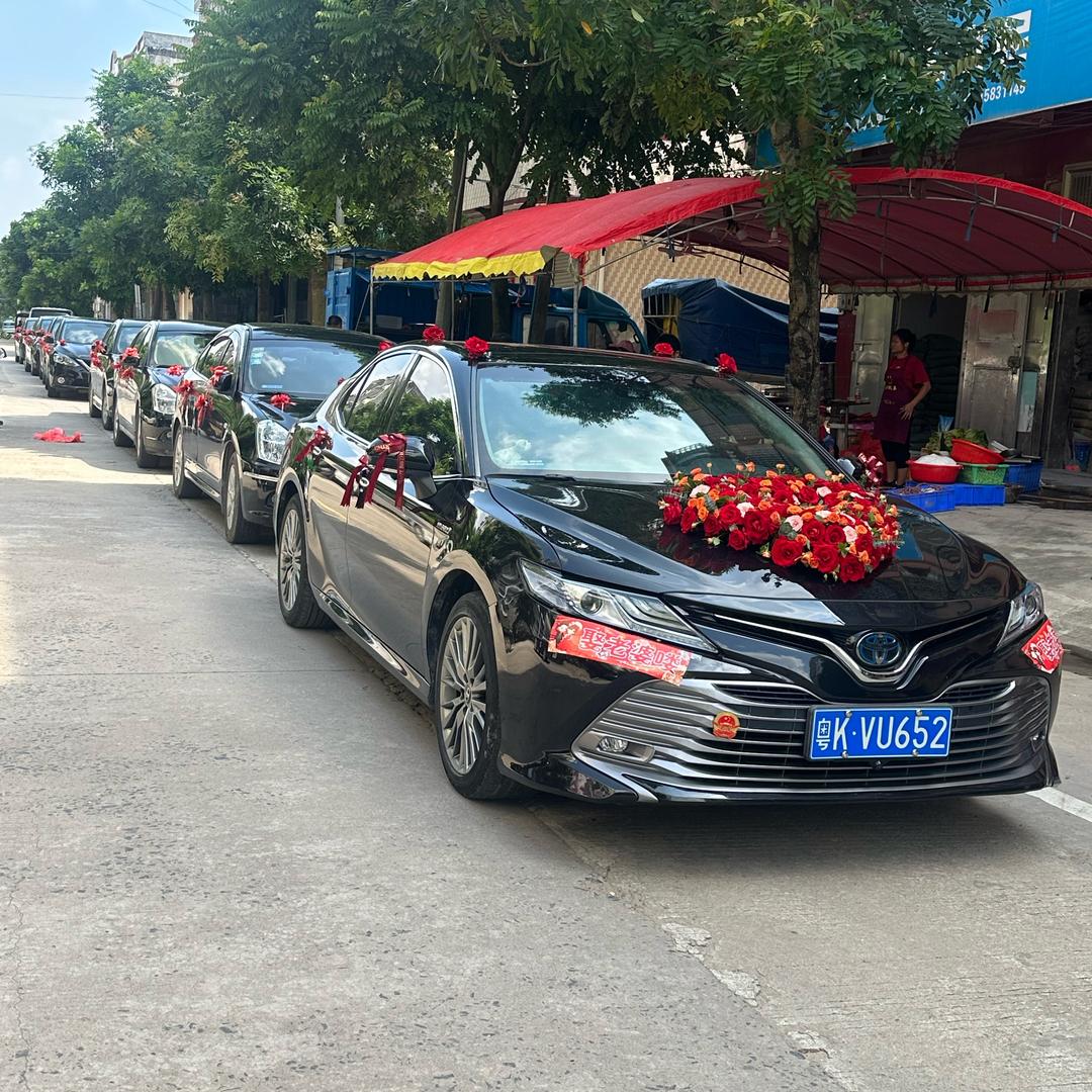 高州伟歌权权