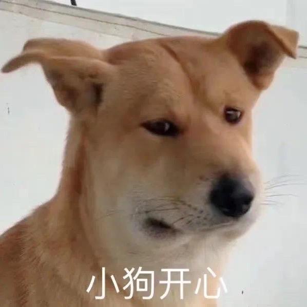 鸡蛋卷好难吃