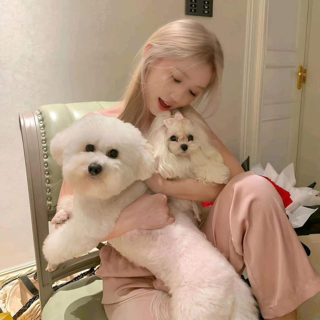 麻木猪蹄
