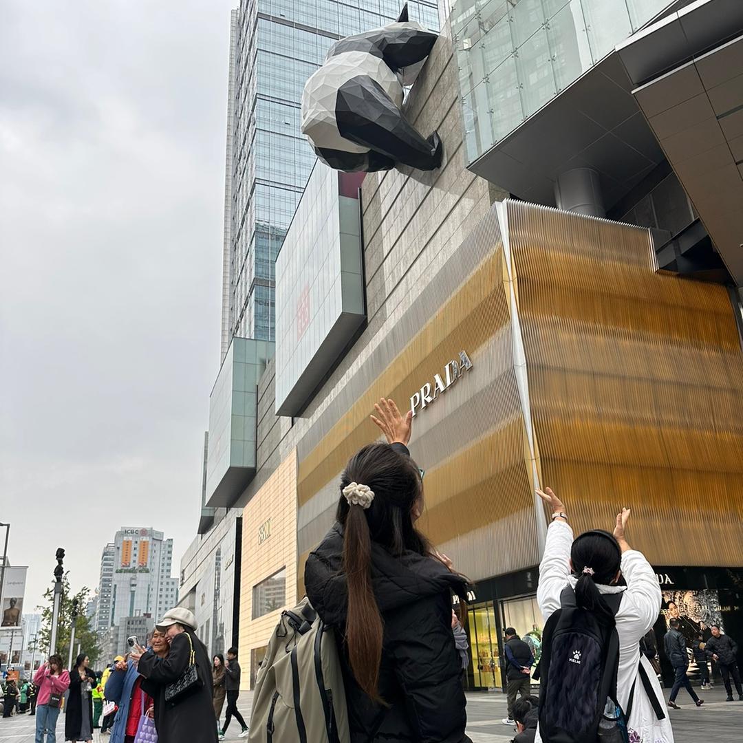 S姐探店