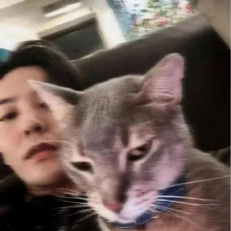 鱼十七
