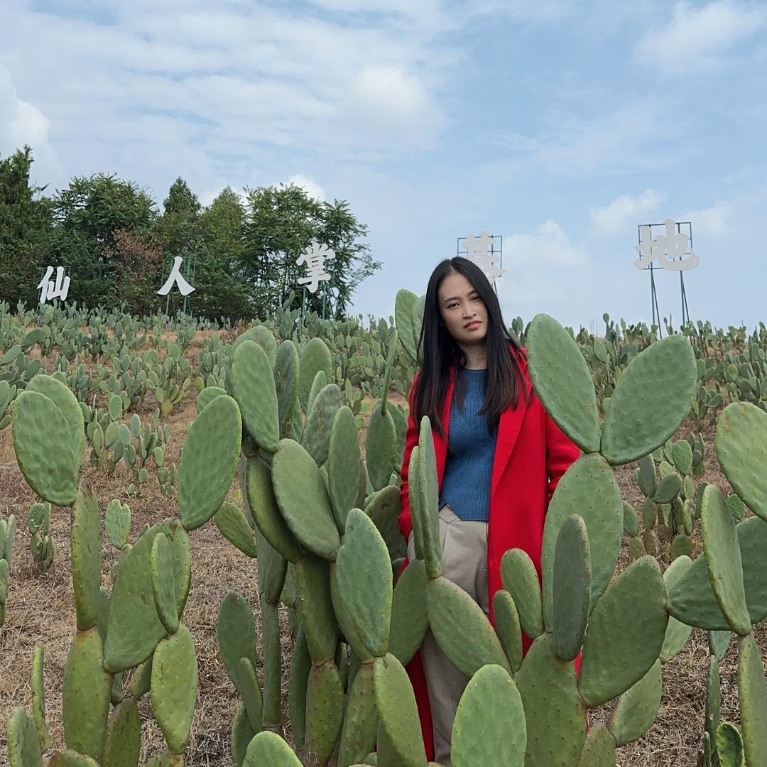 种仙人掌的燕子