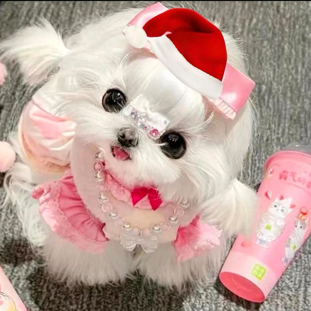 ☀️天晴（涨粉～🌱）