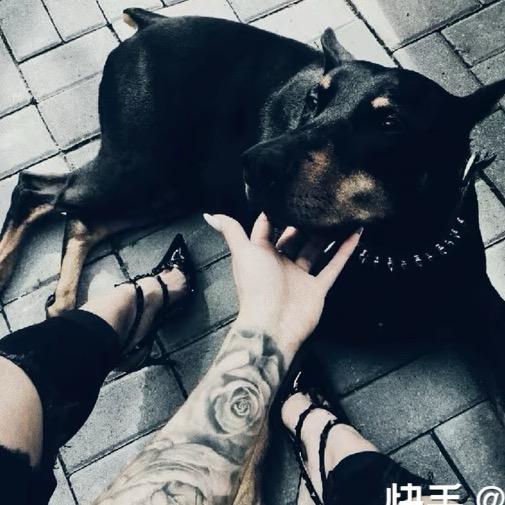 凯瑞想carry