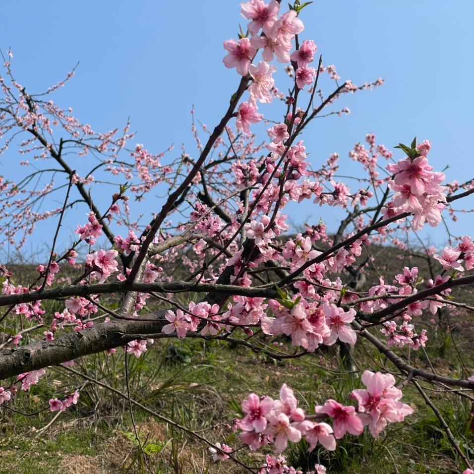 丽丽动漫馆