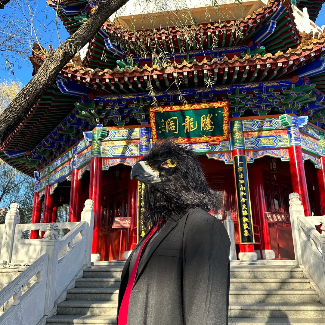 不会飞的老鹰(拜师刘梓逸)