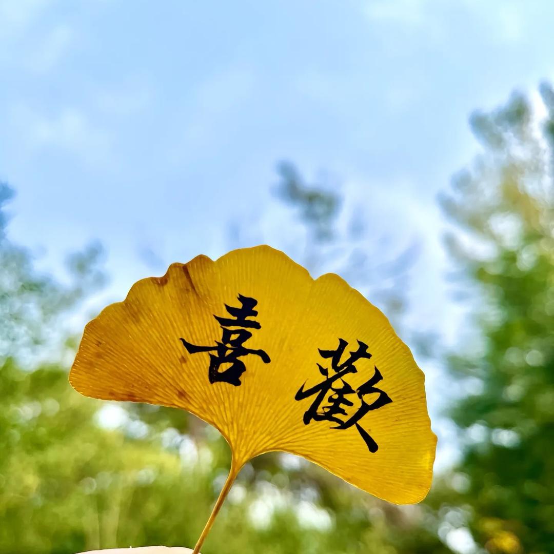 祝卿卿