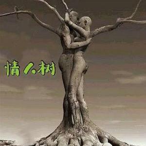 郑在努力