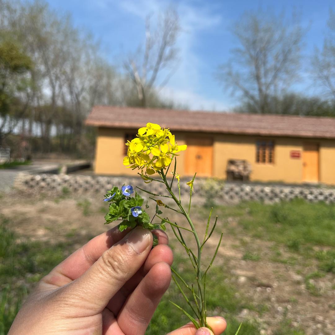 李🌸倪田园🍀
