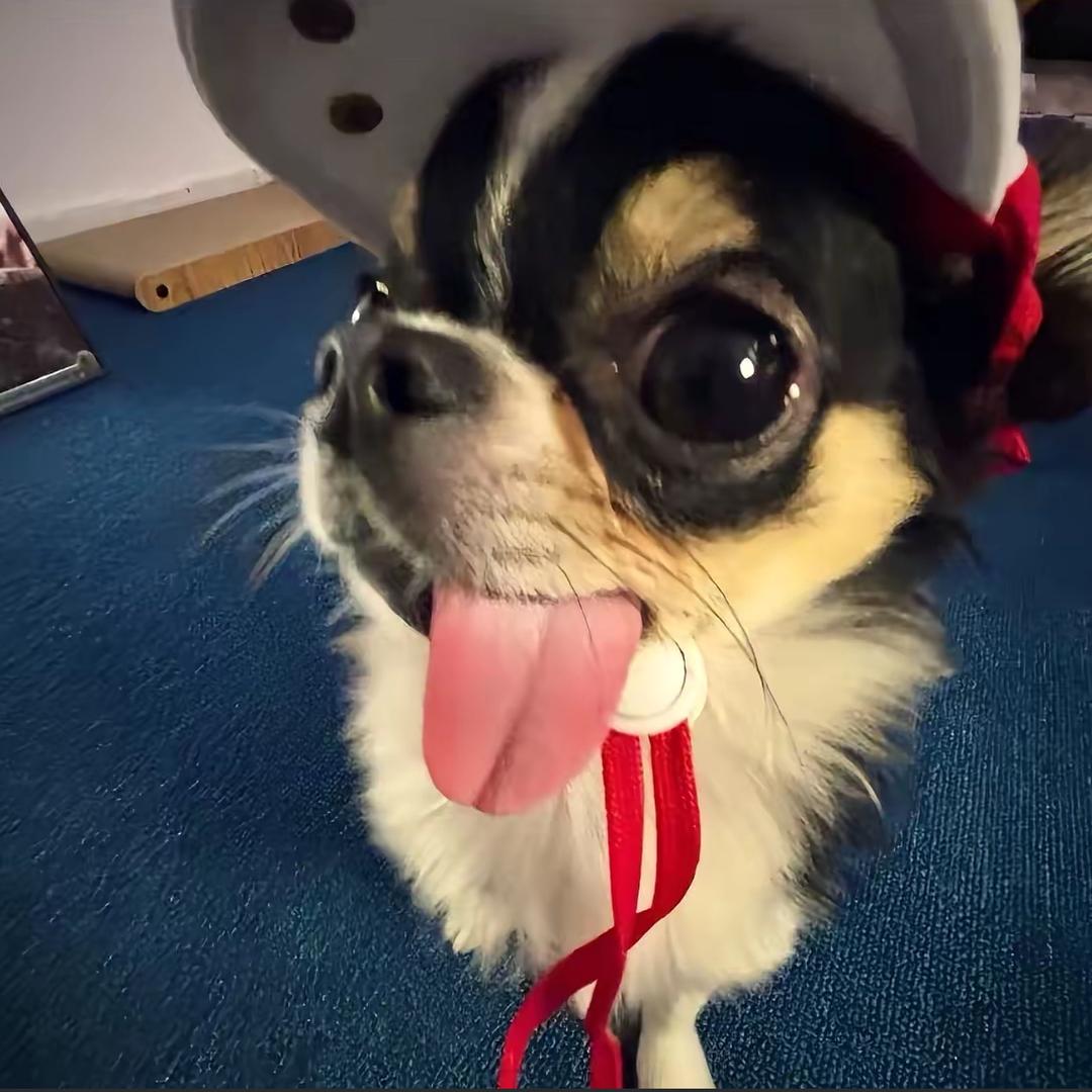 想你