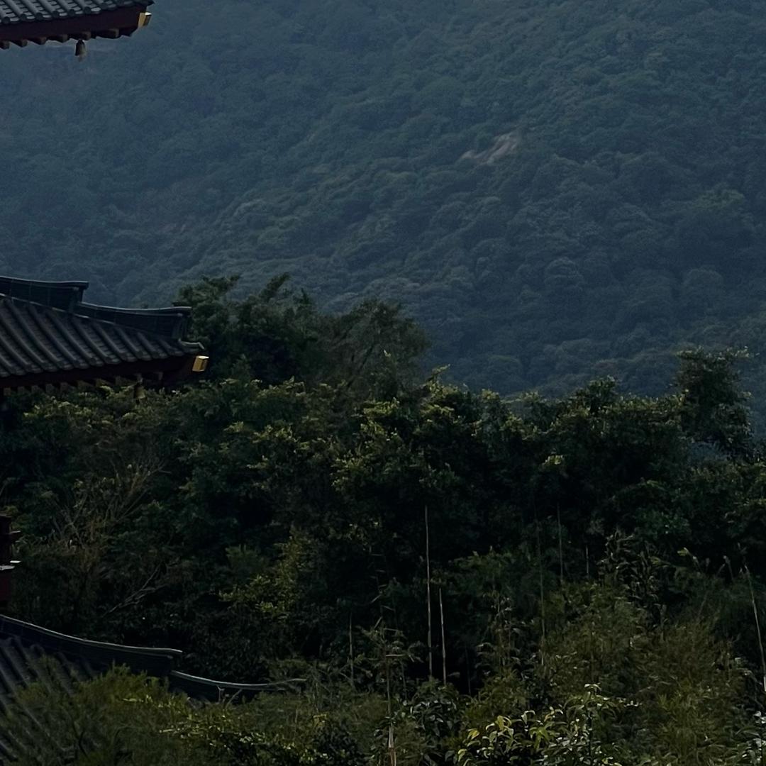 冰红茶吧