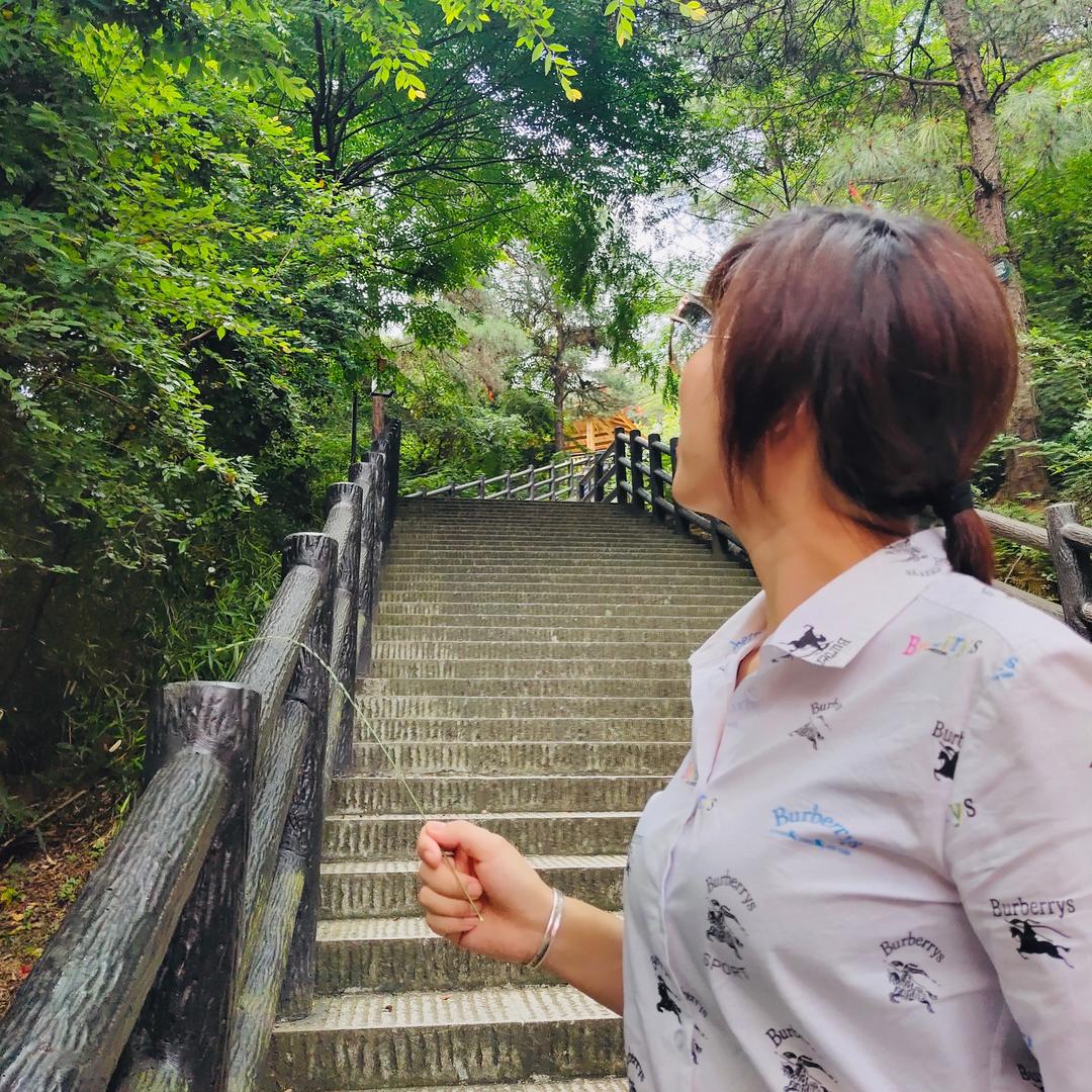 沙沙小阿姨