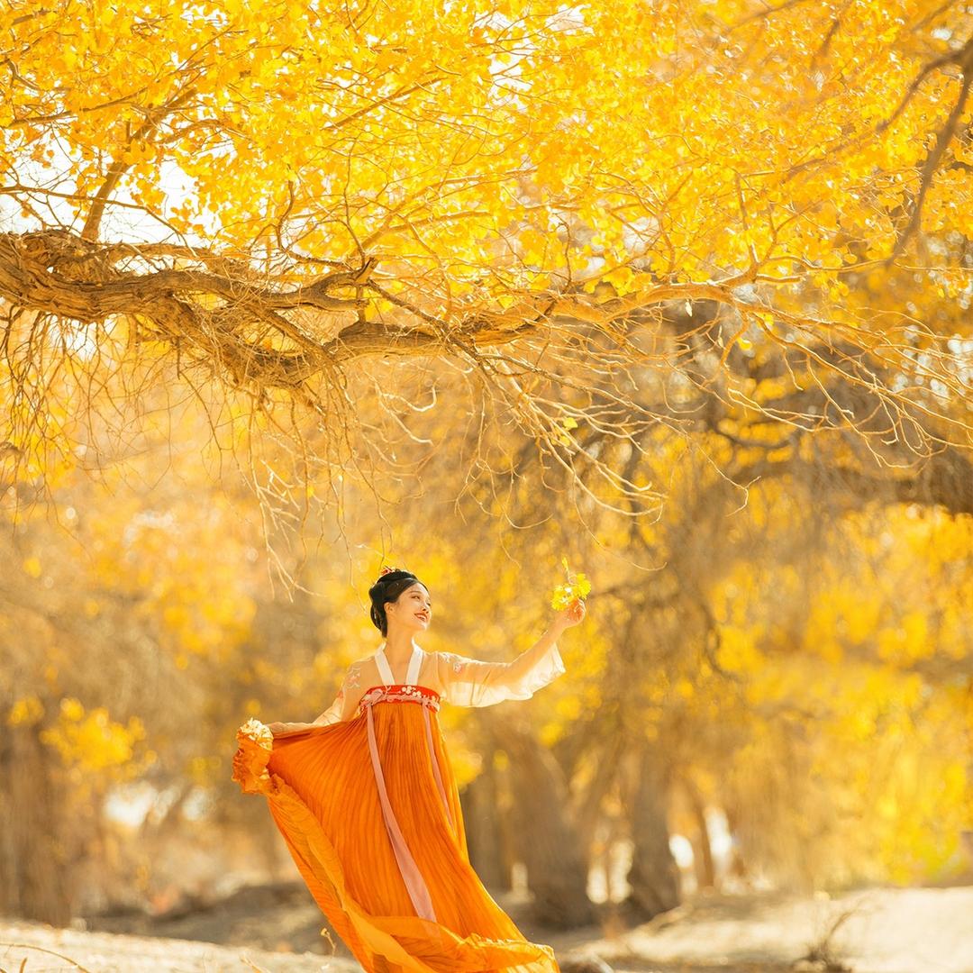 额济纳黑城星空房车露营地