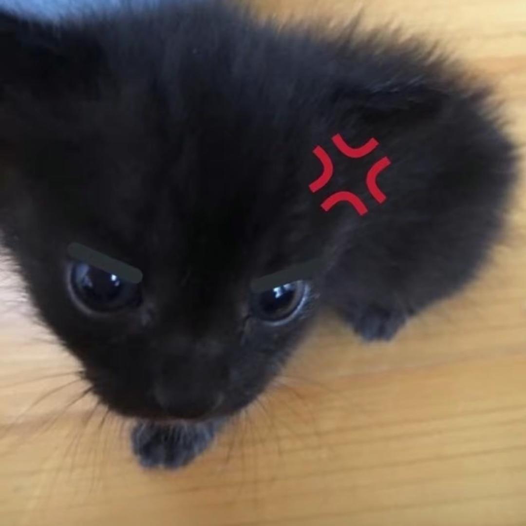 PP王子