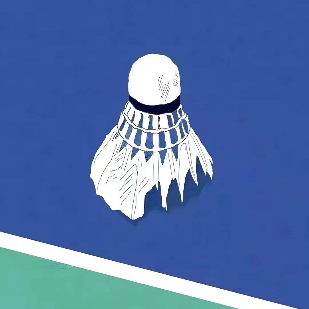 星耀未来🏸
