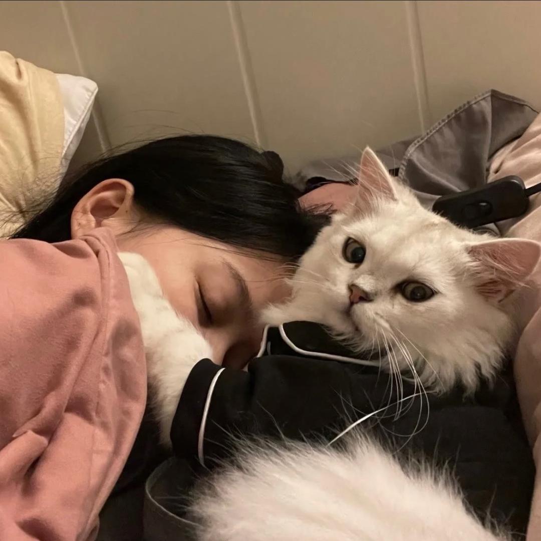 晚安明天见