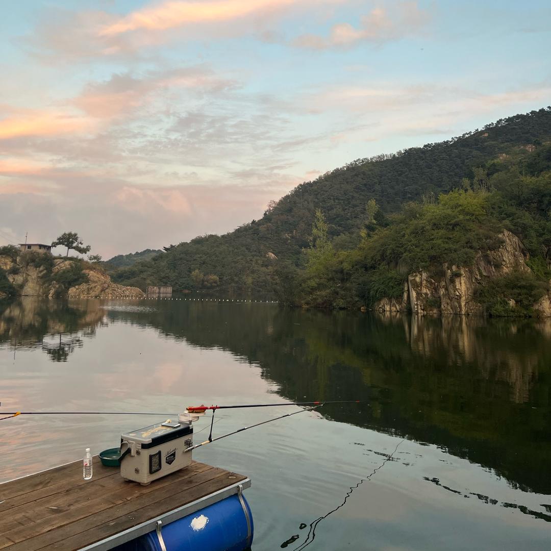 鲢鳙基地🎣 (大拇寨水库)