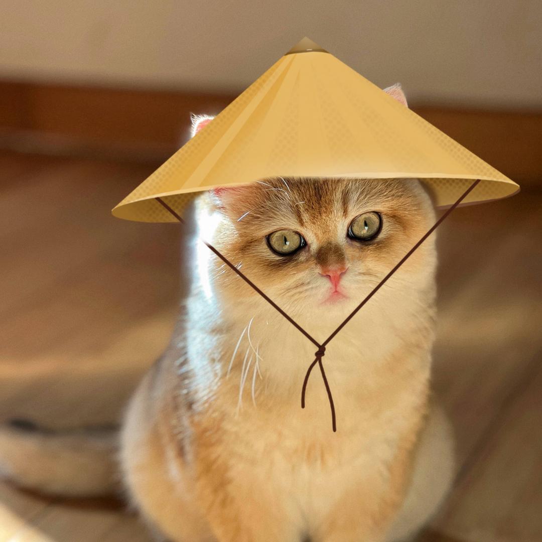 悠米想吃鱼和牛肉