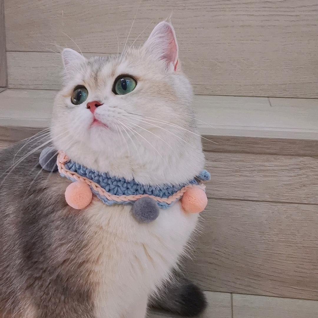 Ruarua是萌妹