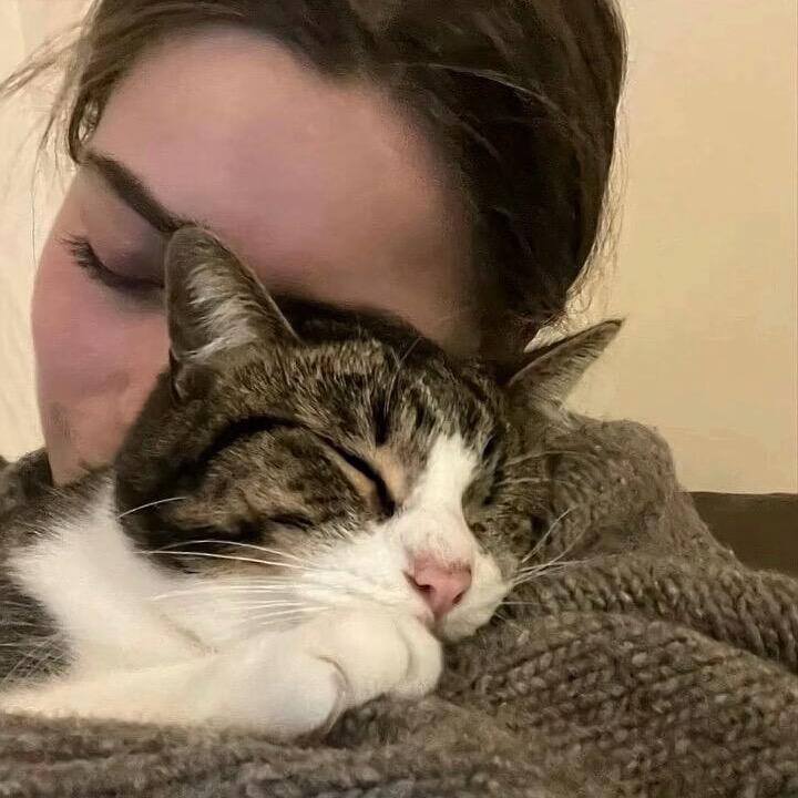 肥猫🚭