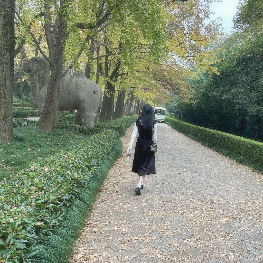 梨涡
