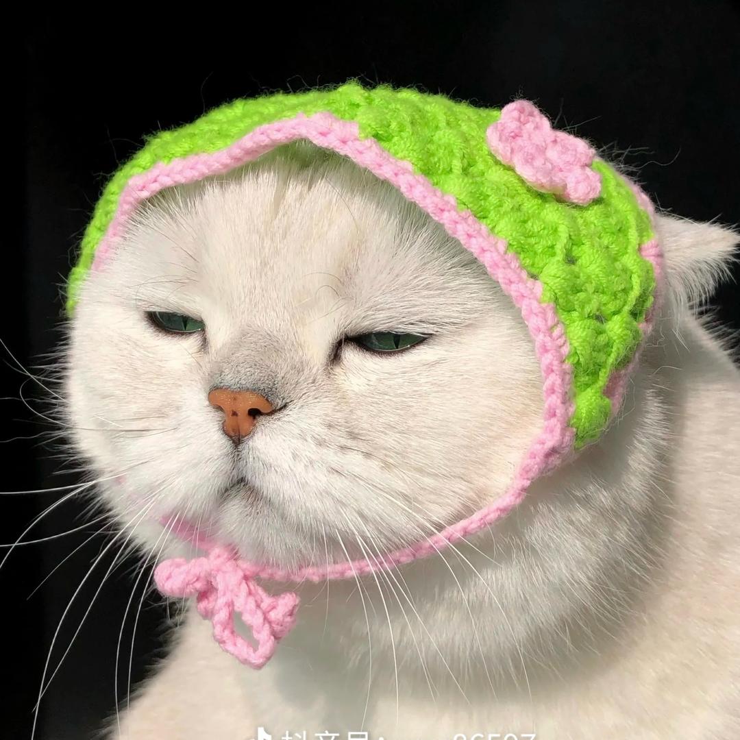 明人不放暗🌬️