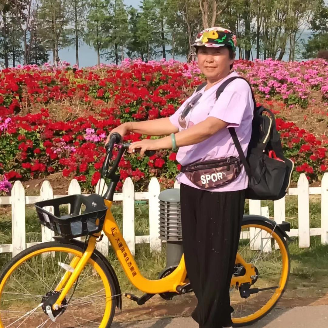 4萍姐