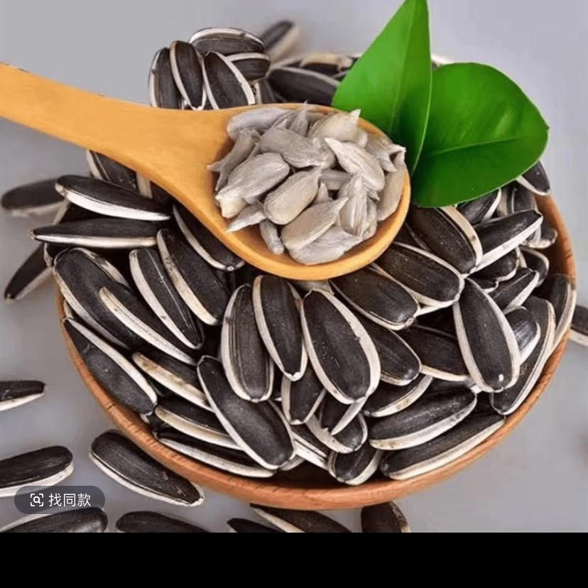 内蒙古瓜子源头工厂