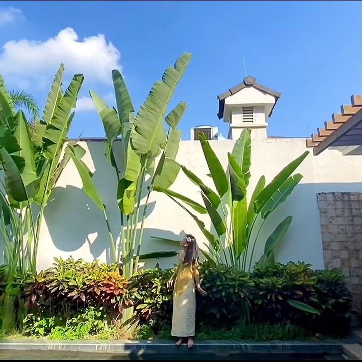 小维·发现旅行