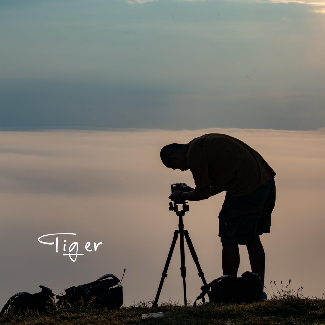Tiger📷