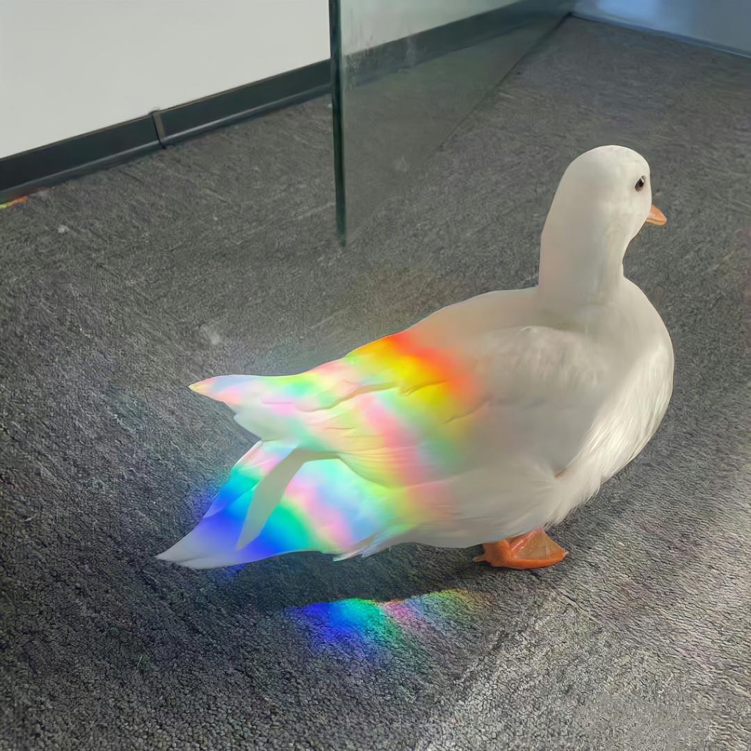 简直不像话