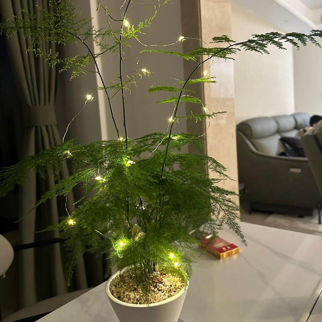 海口自家仓库出租林雪