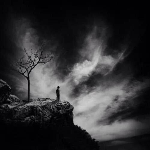 往南的人，怎会陪你向北！