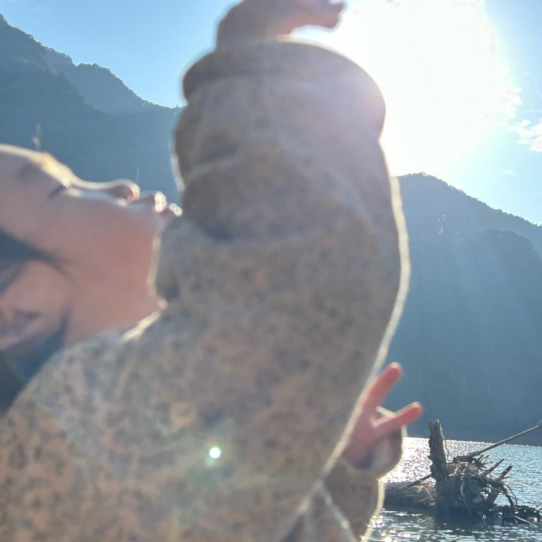 桐璐