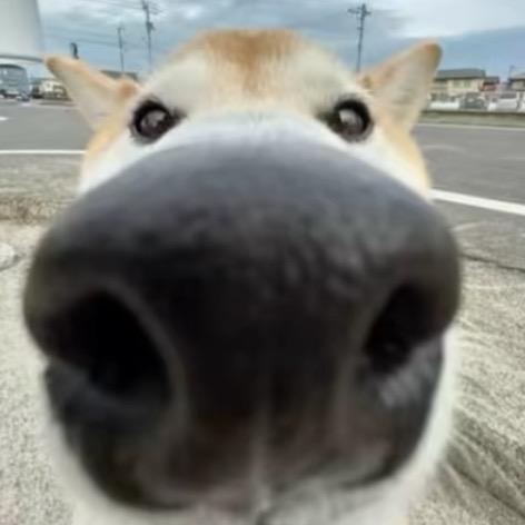 东北通
