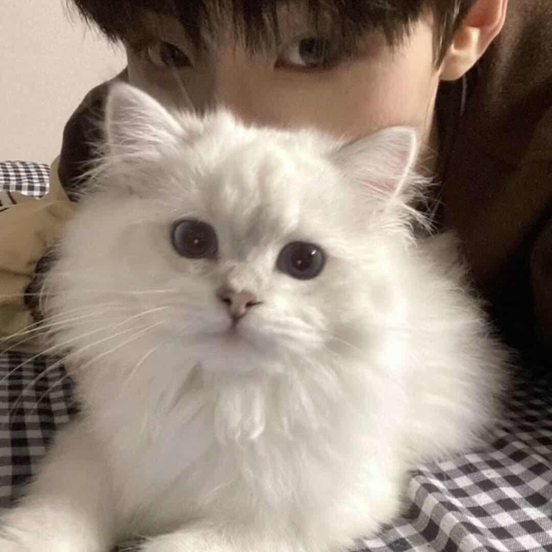 ㅤㅤ ㅤㅤㅤㅤ ㅤ