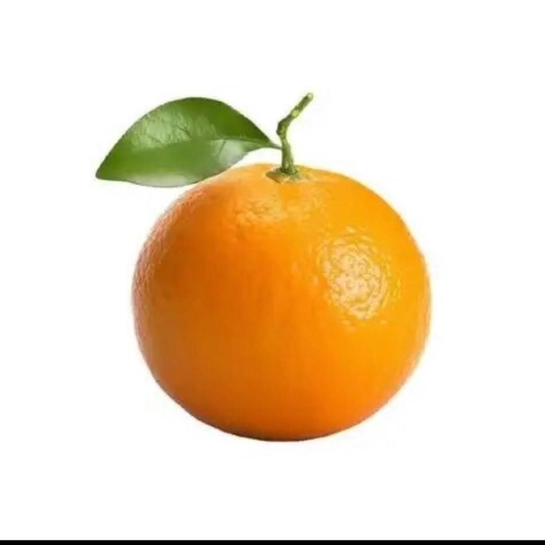 不知道🍊