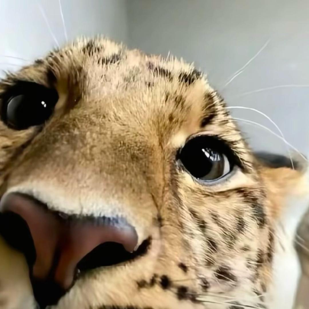 uu.