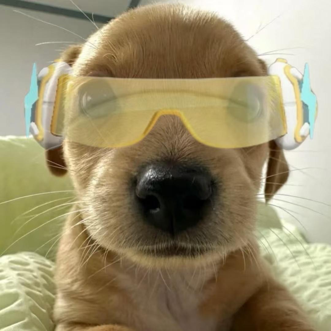 午夜羊