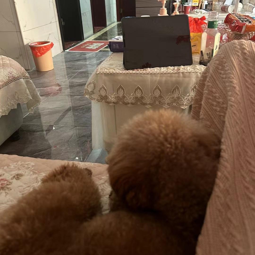 静怡🥰