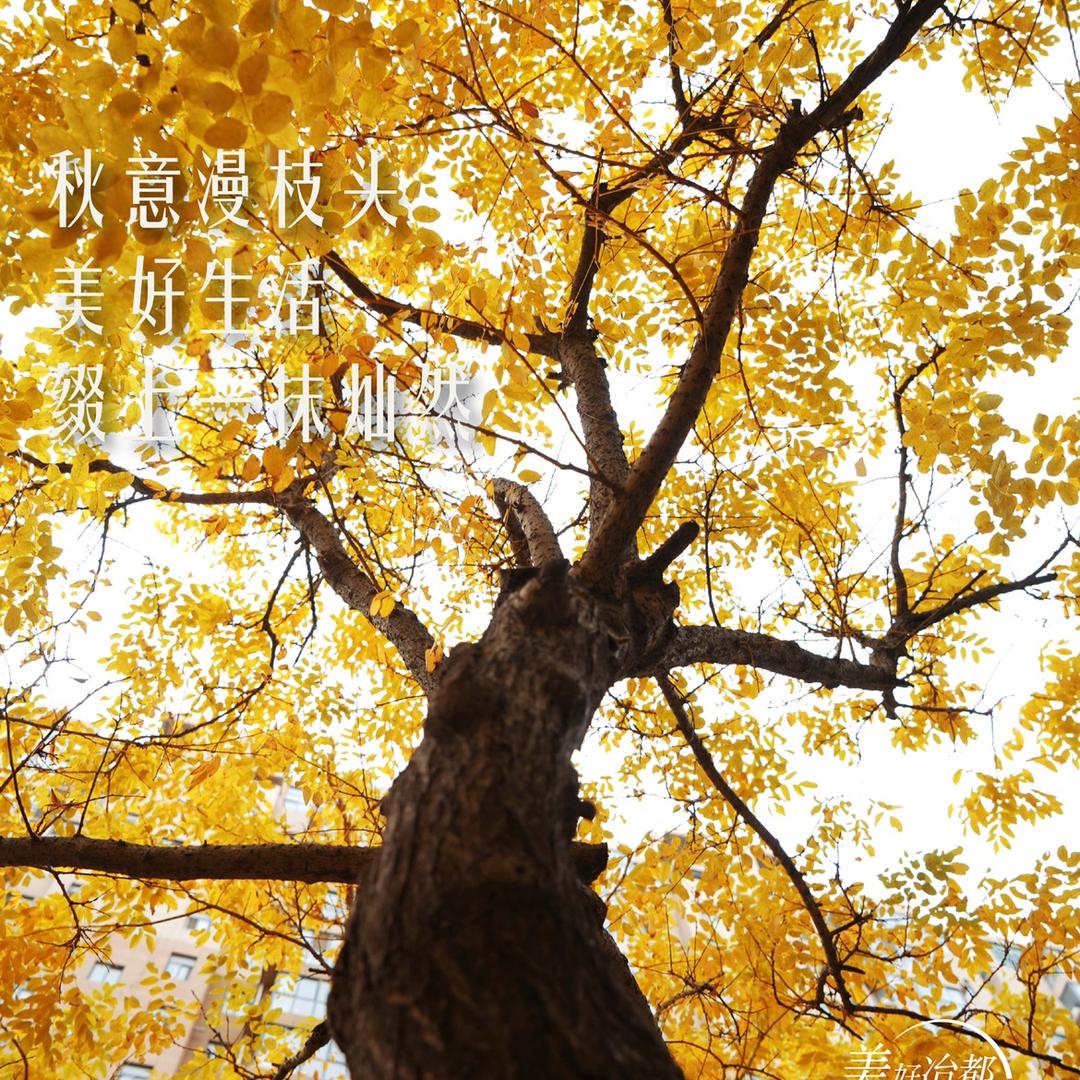 濮阳绿化小王子