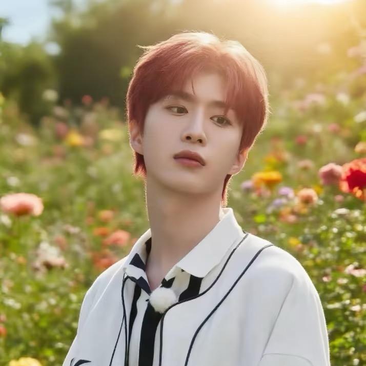 少女心的大姐姐ฅʕ•̫͡•ʔฅ