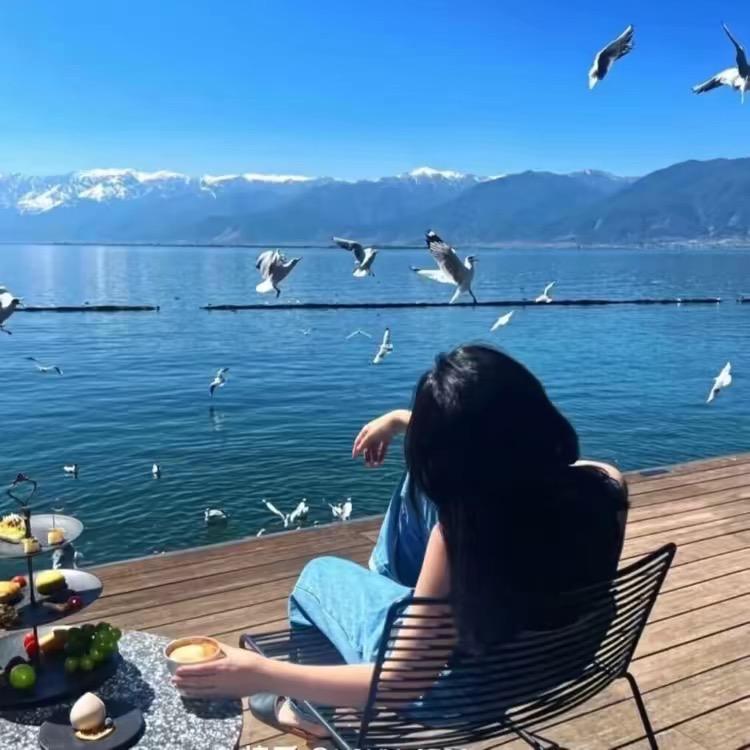 会打呼噜的月亮