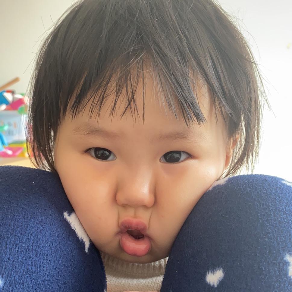 陈两颗豆儿